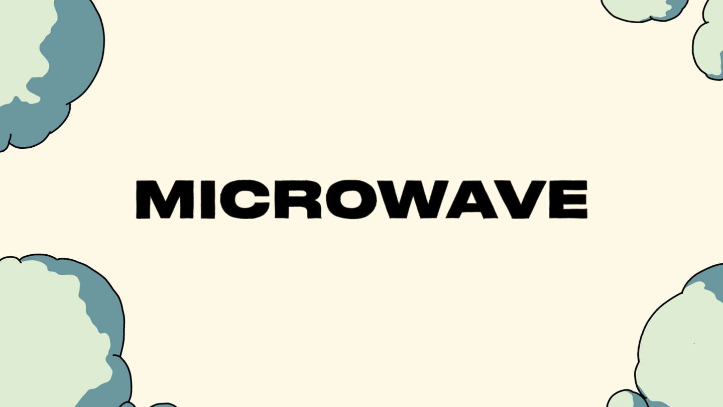 Word Definition: MICROWAVE