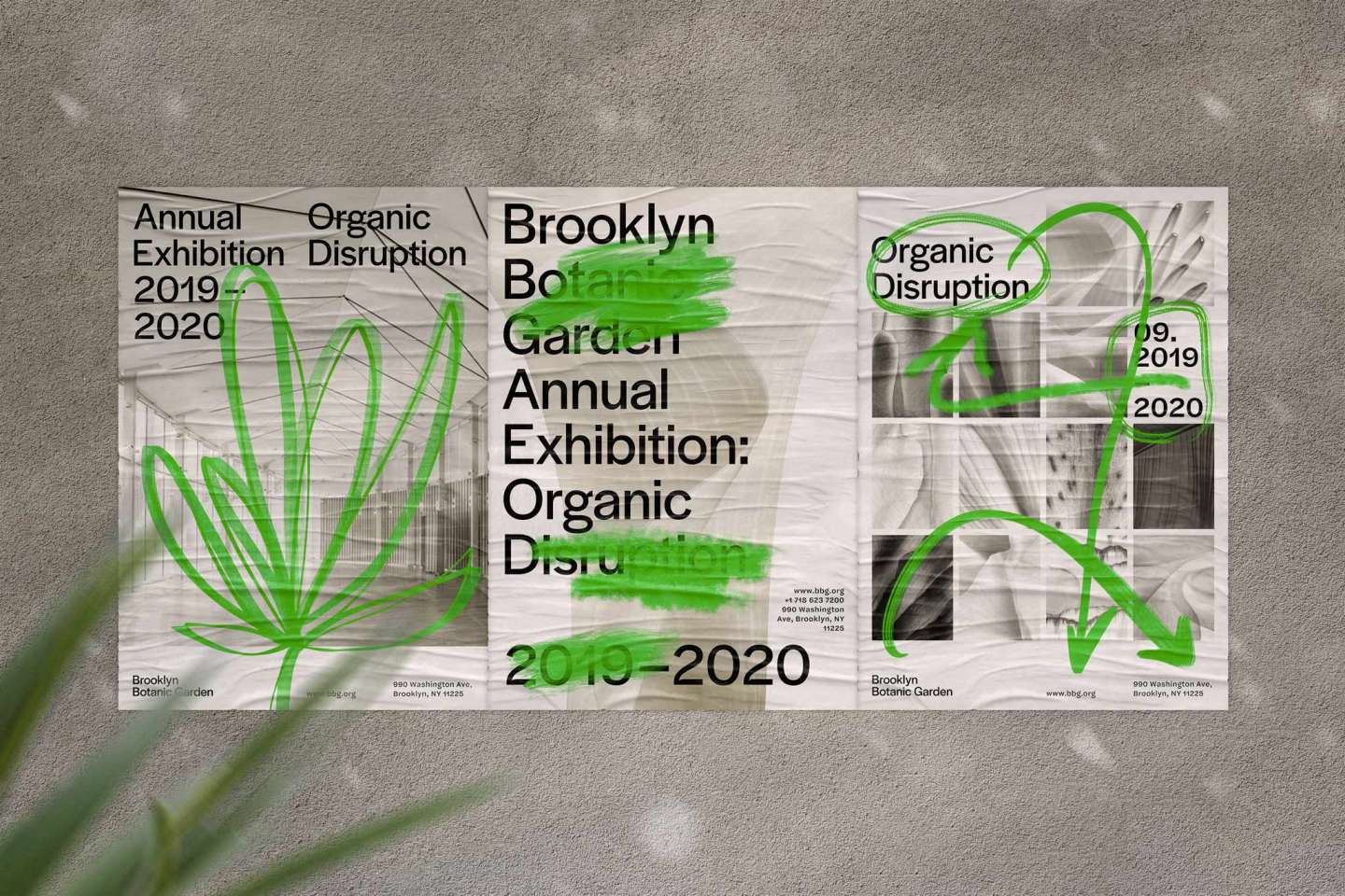 Brooklyn Botanic Garden Rebrand