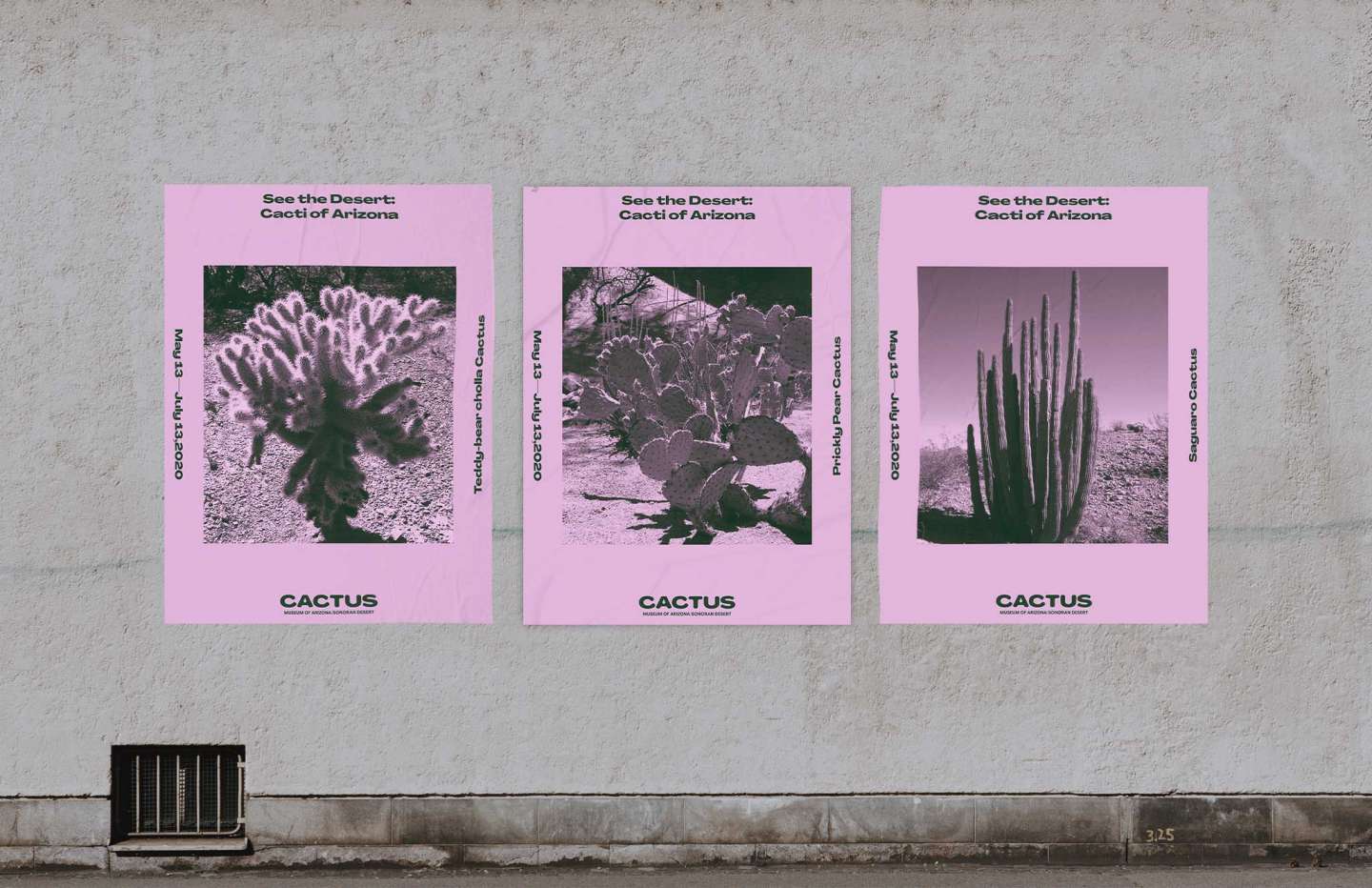 Cactus Museum-Brand Identity