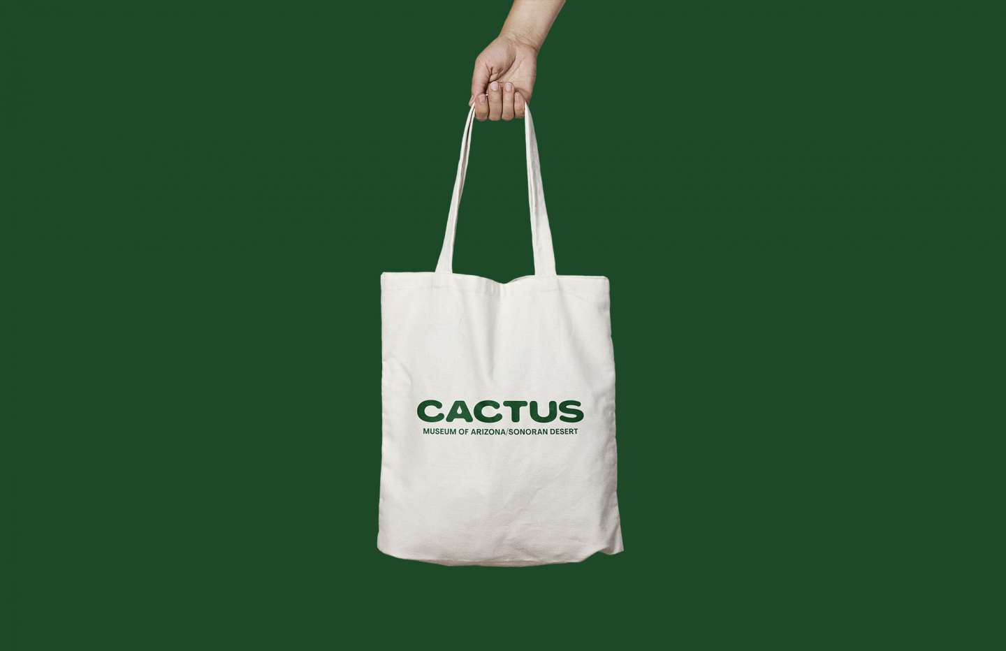 Cactus Museum-Brand Identity