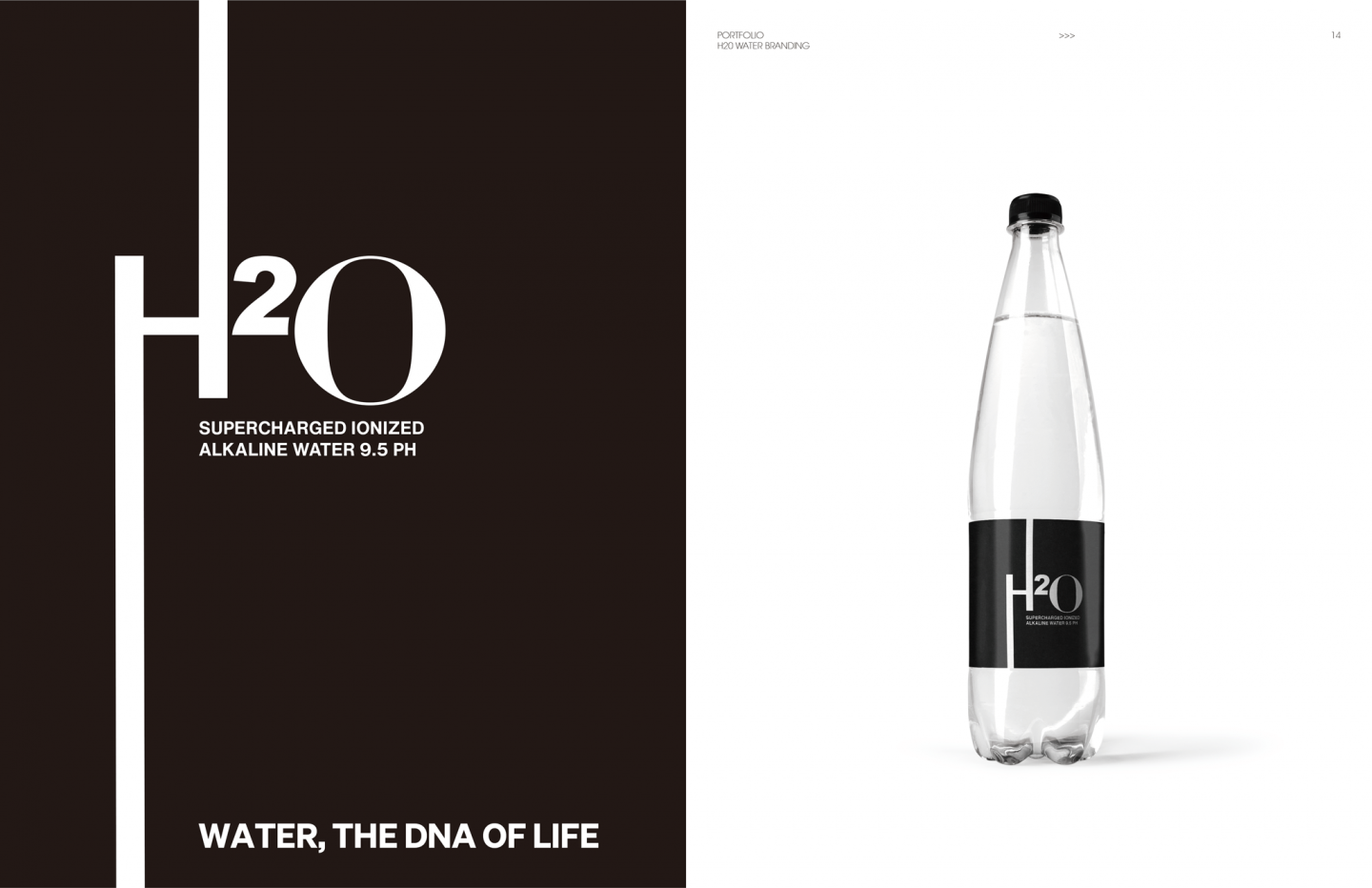 H2O Water