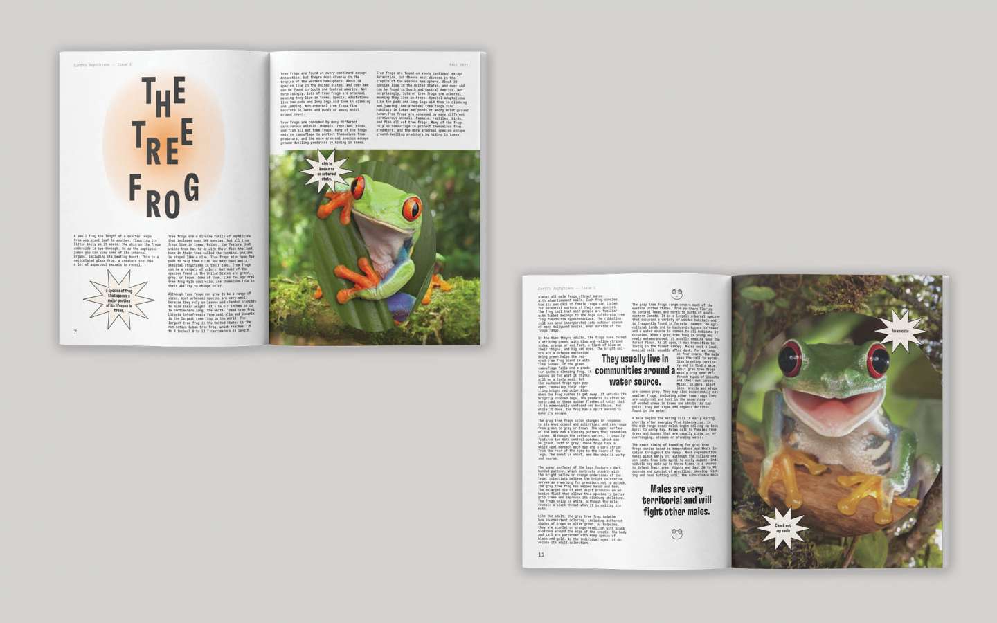 Earth's Amphibians Magazine