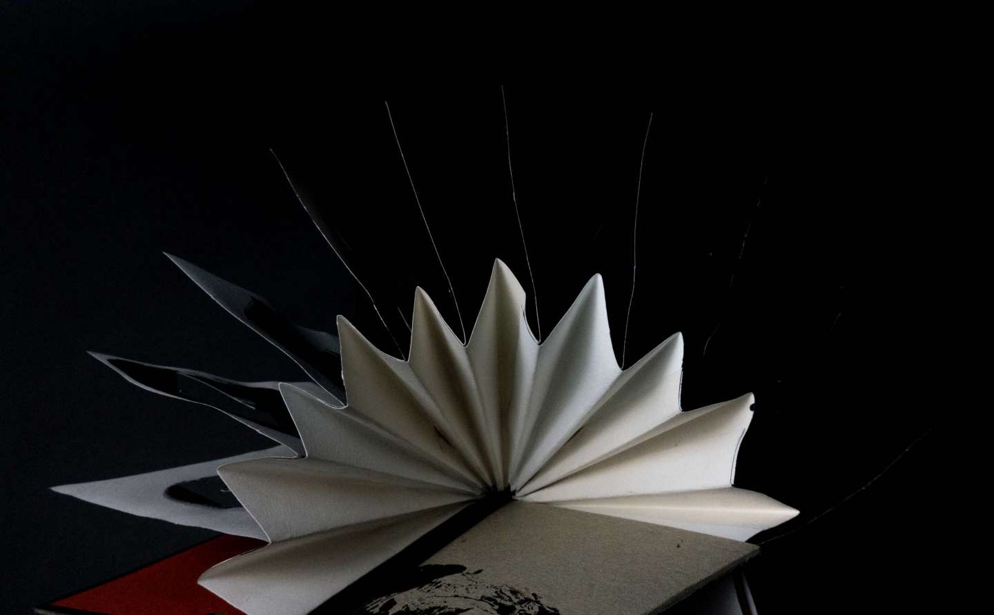 Book Art: Light and Shadow