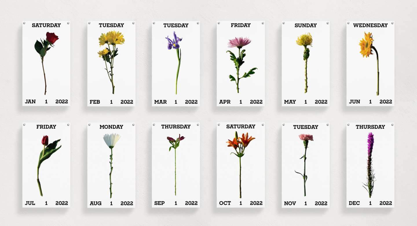 Ephemeral Flowers Daily Calendar