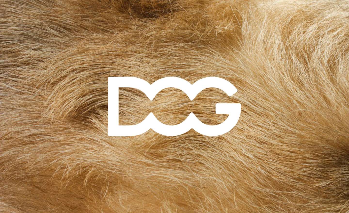 The Accordion DOG House Branding