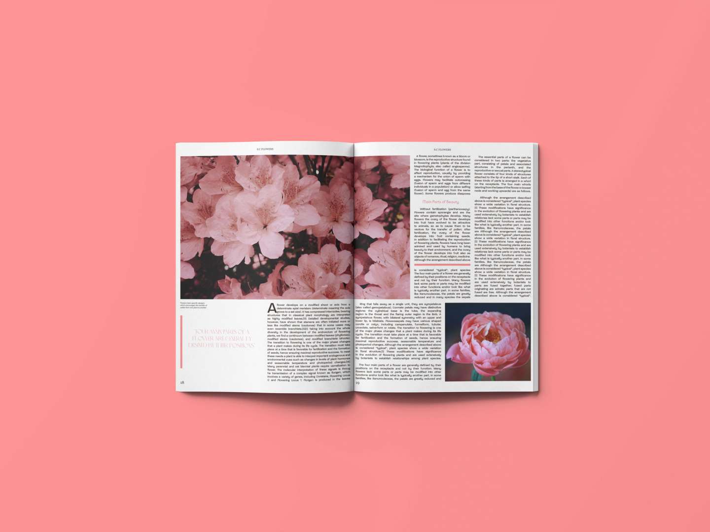 S.C Flowers Monthly Magazine