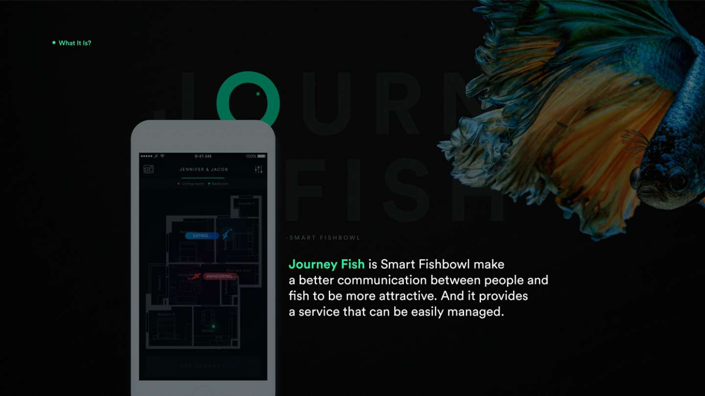 Journey Fish (Smart Fishbowl)
