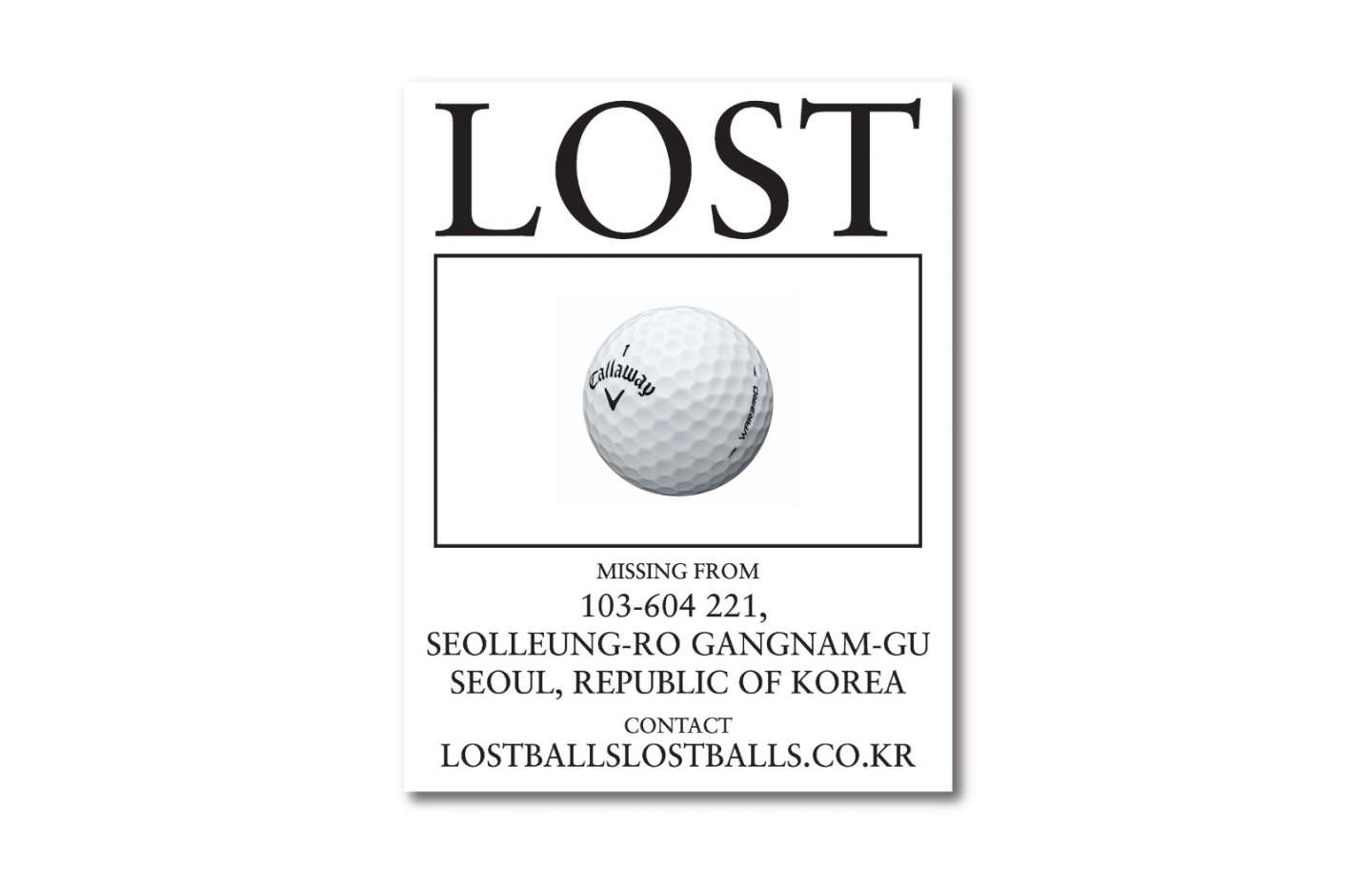 Lost Balls Lost Balls creative branding