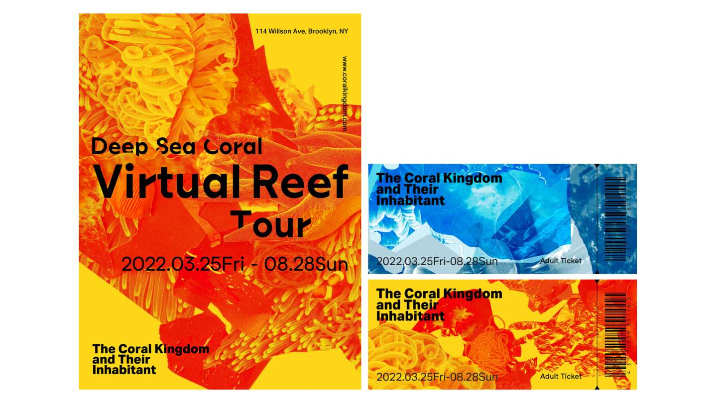 Gallery Design: The Coral Kingdom