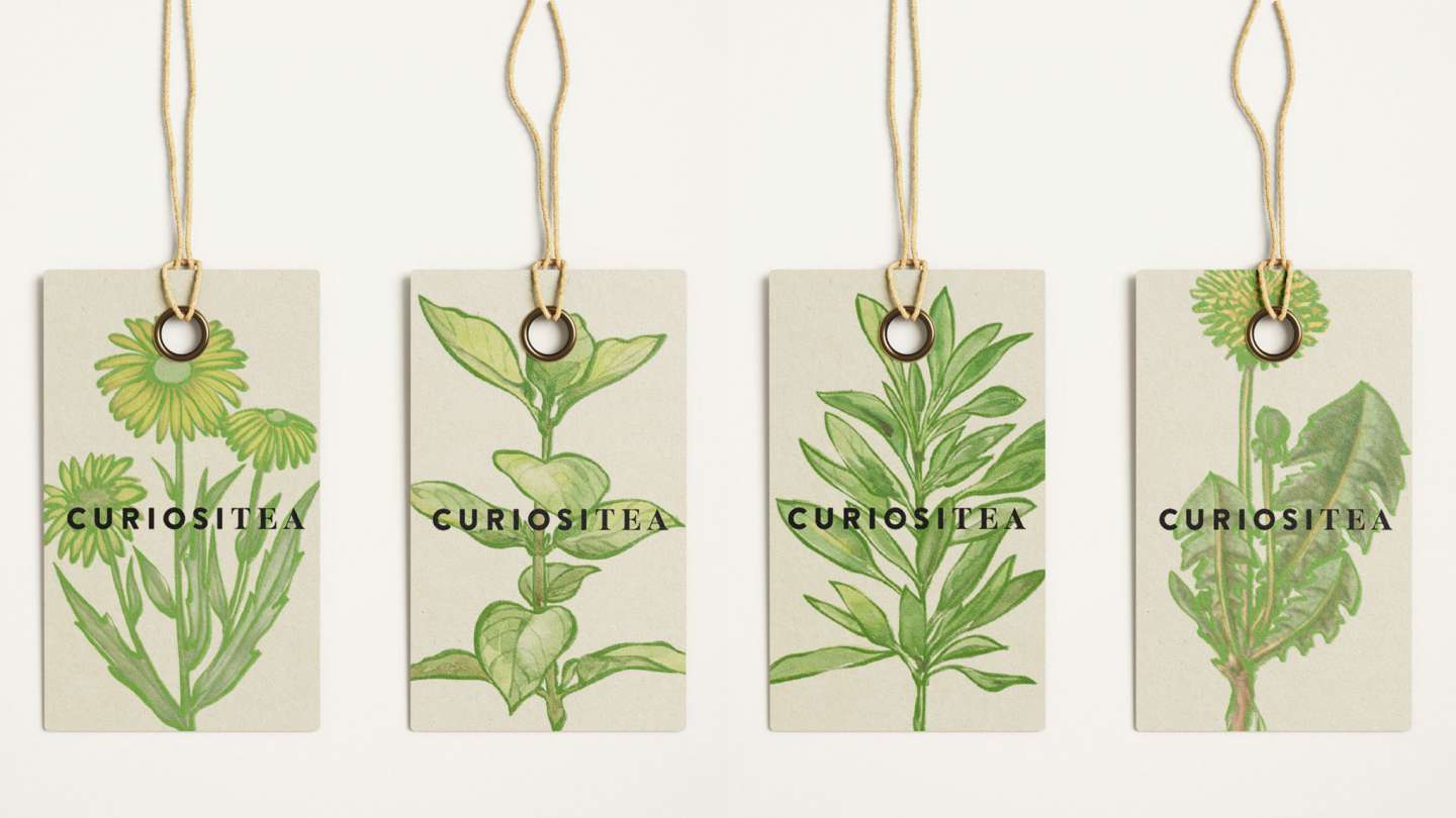Tea Branding: CURIOSITEA