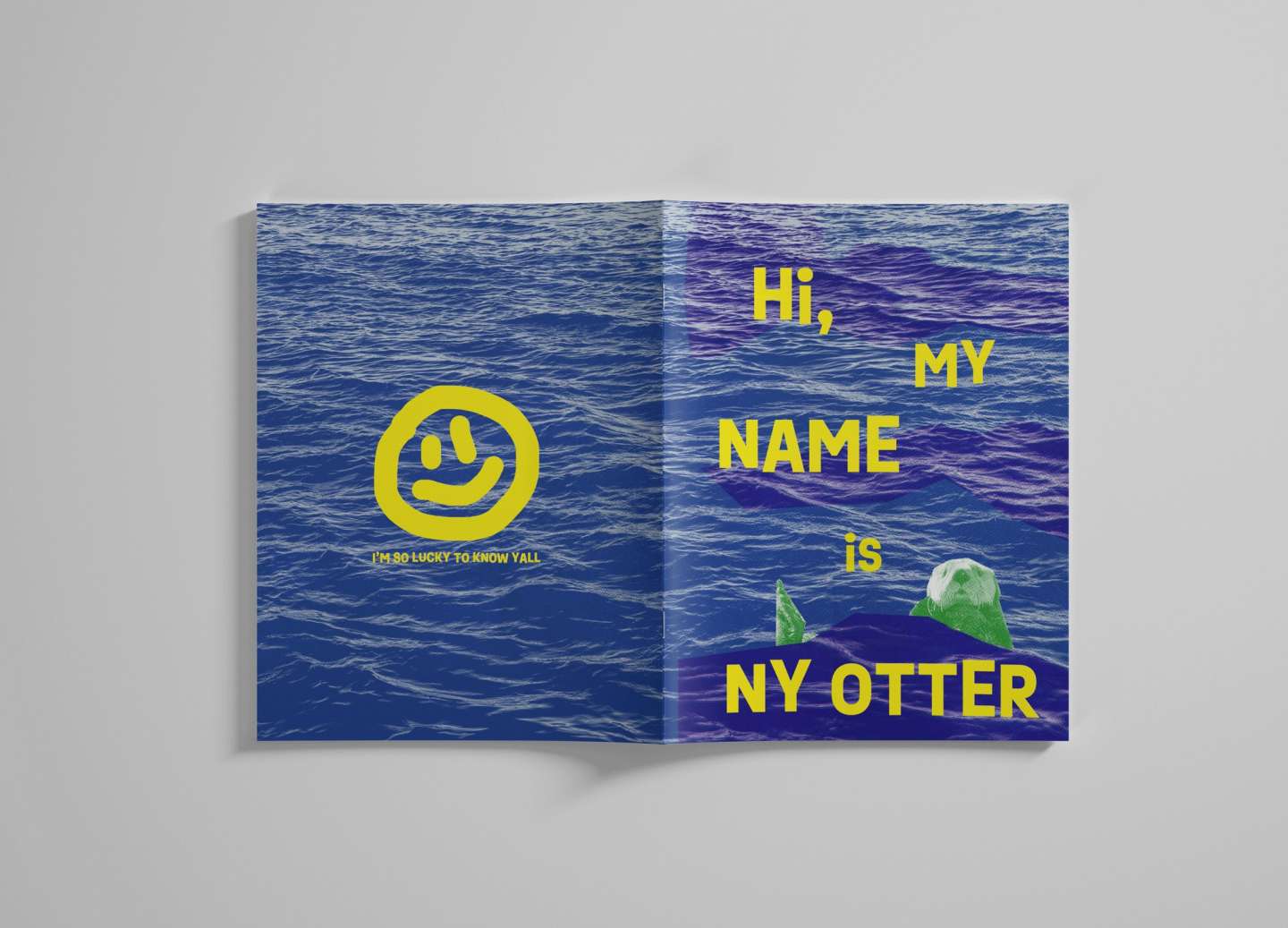 Hi, My Name Is NY Otter