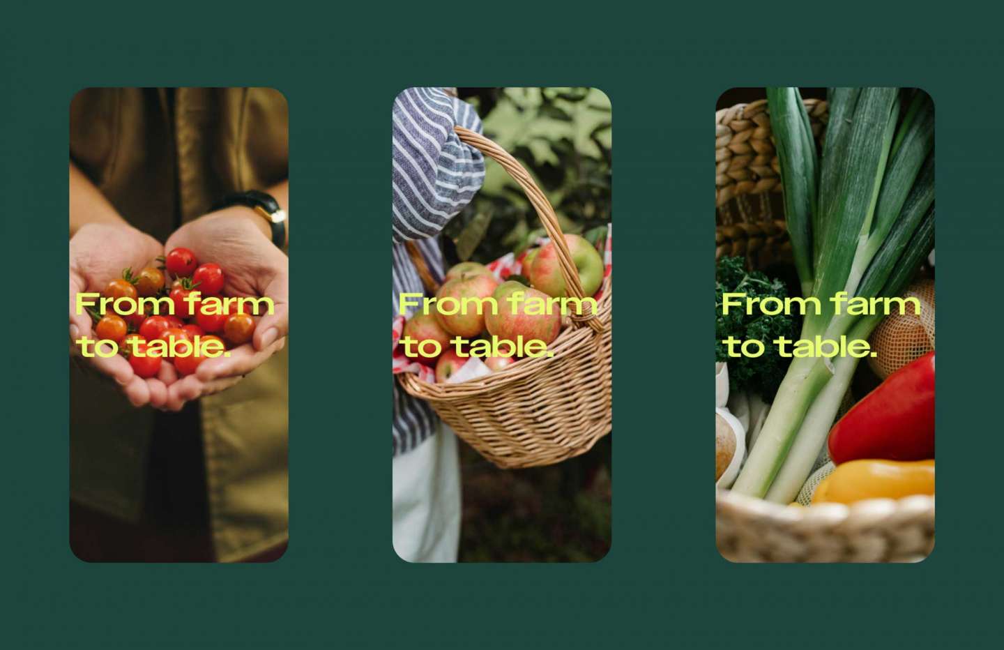 Sweetgreen Harvest