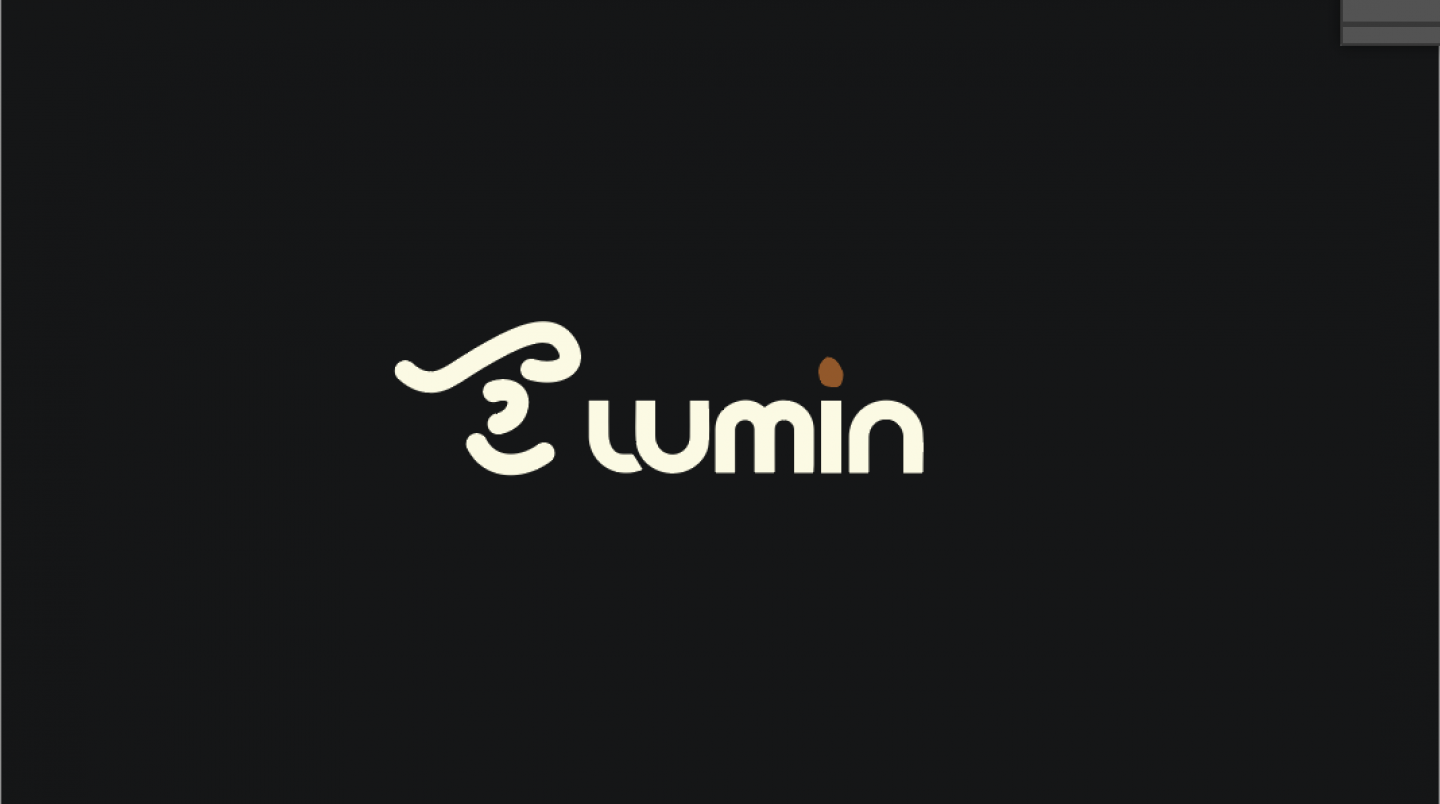 Lumin Branding