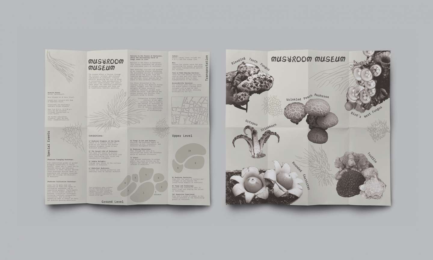 Mushroom Museum Branding