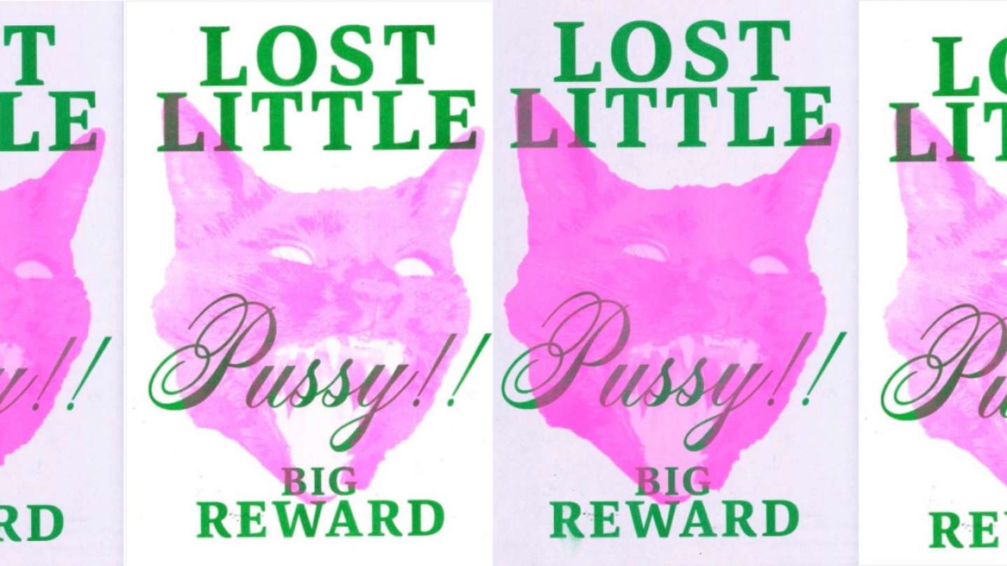 LOST LITTLE PUSSY POSTER