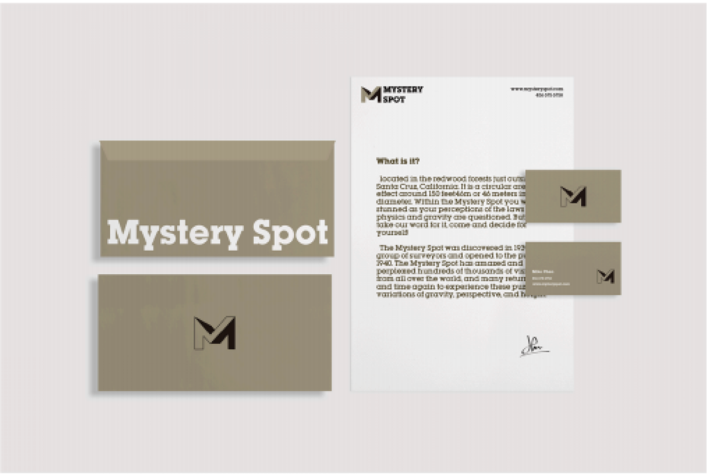 Mystery Spot Brand Identity