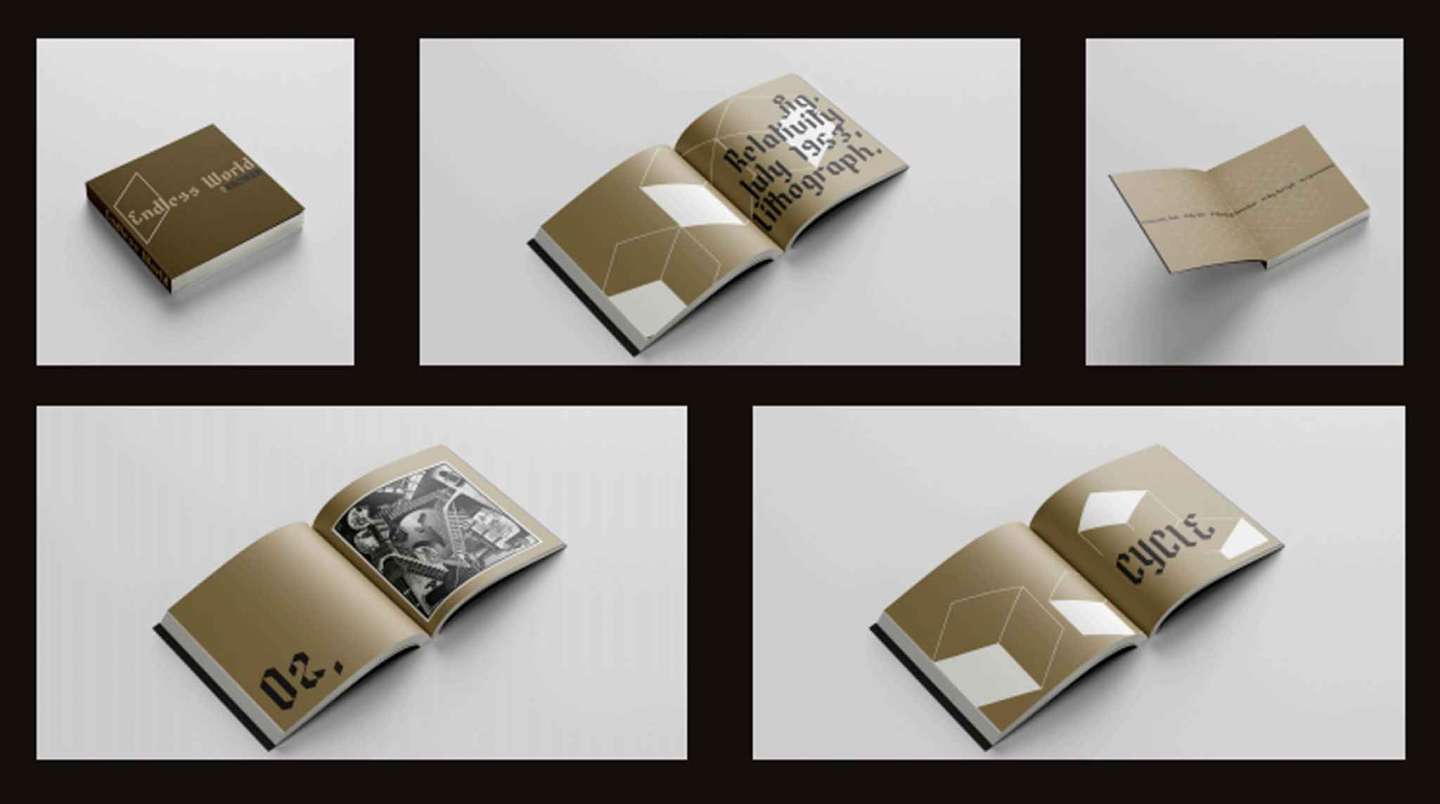 Mystery Spot Brand Identity