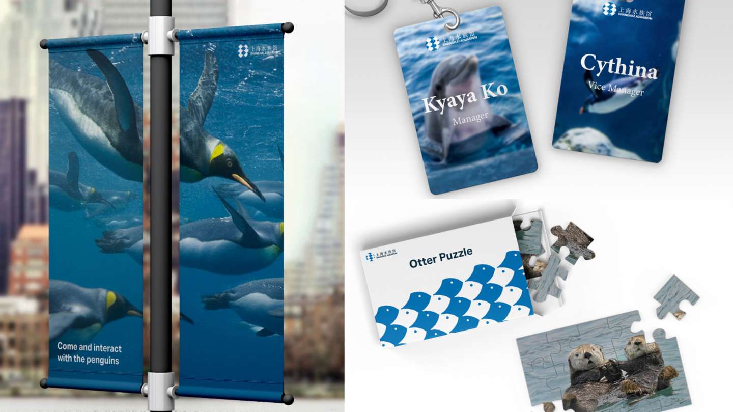Shanghai Aquarium Rebrand