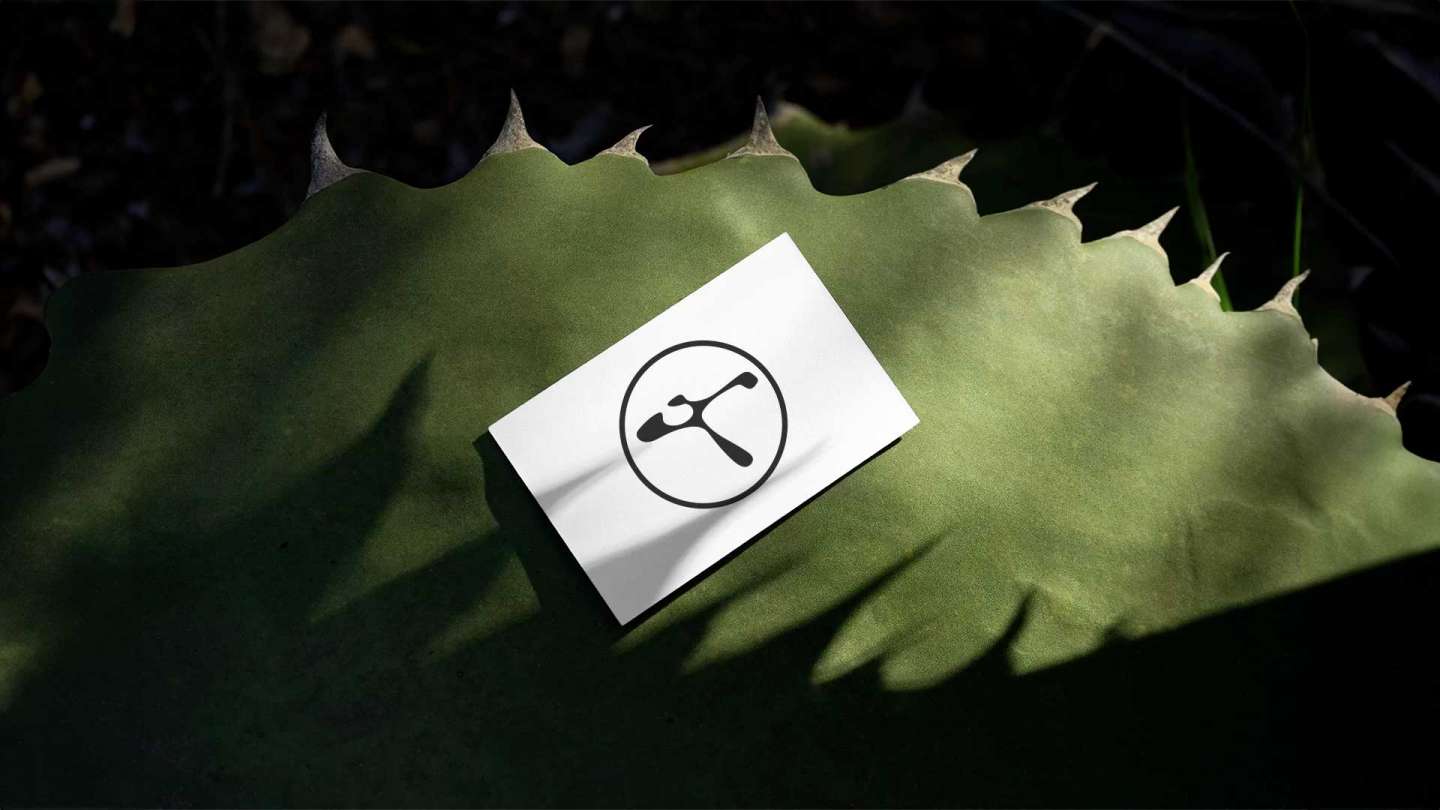 Cocoon