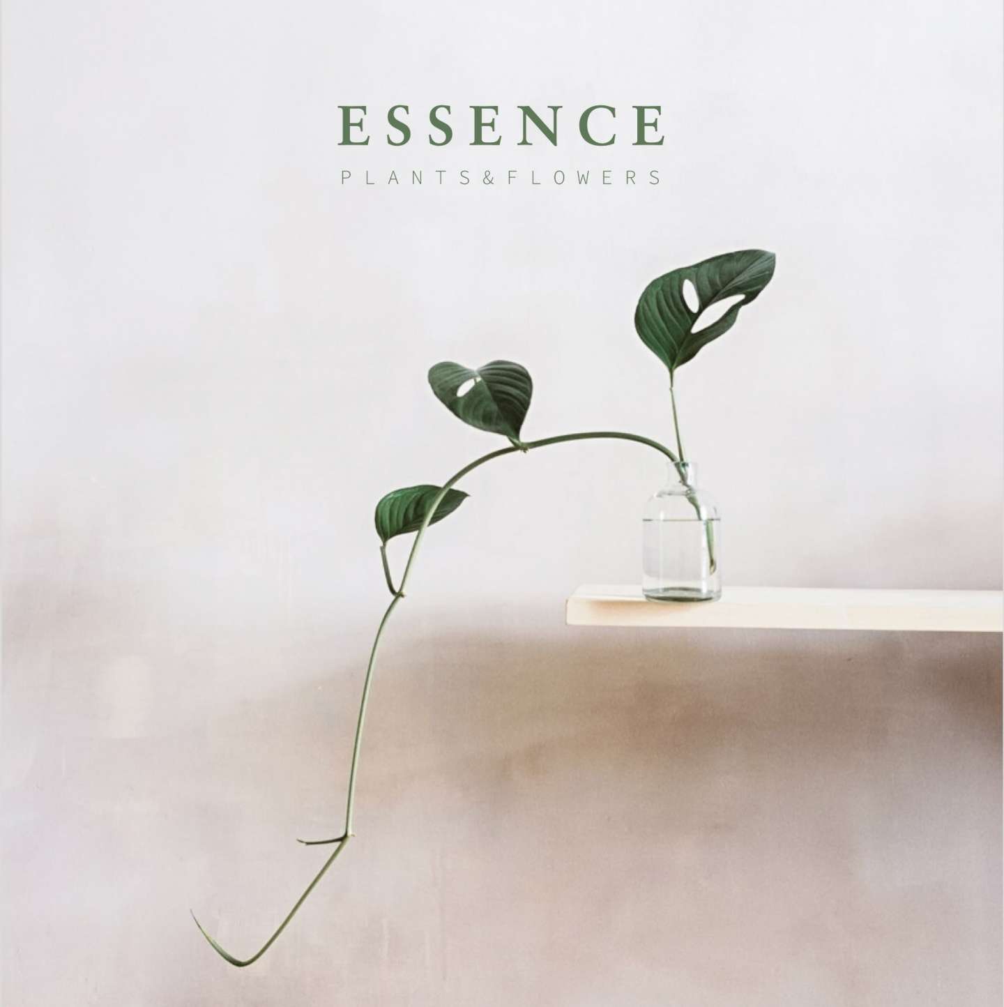 Essence