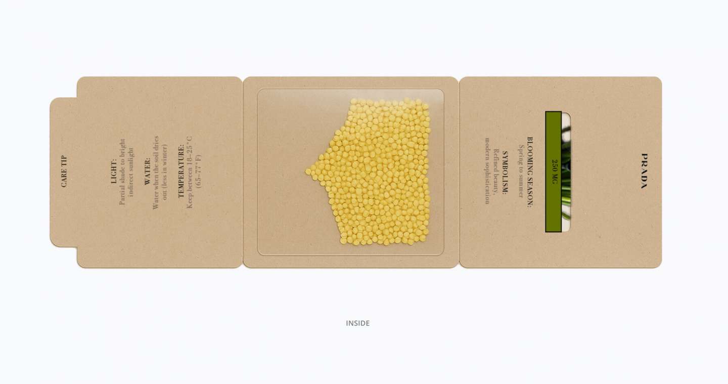 PRADA SEED PACKET