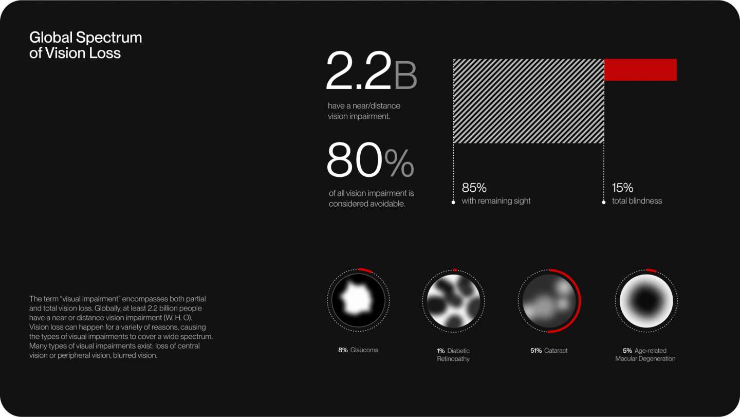 Assistive Technology for the Visually Impaired