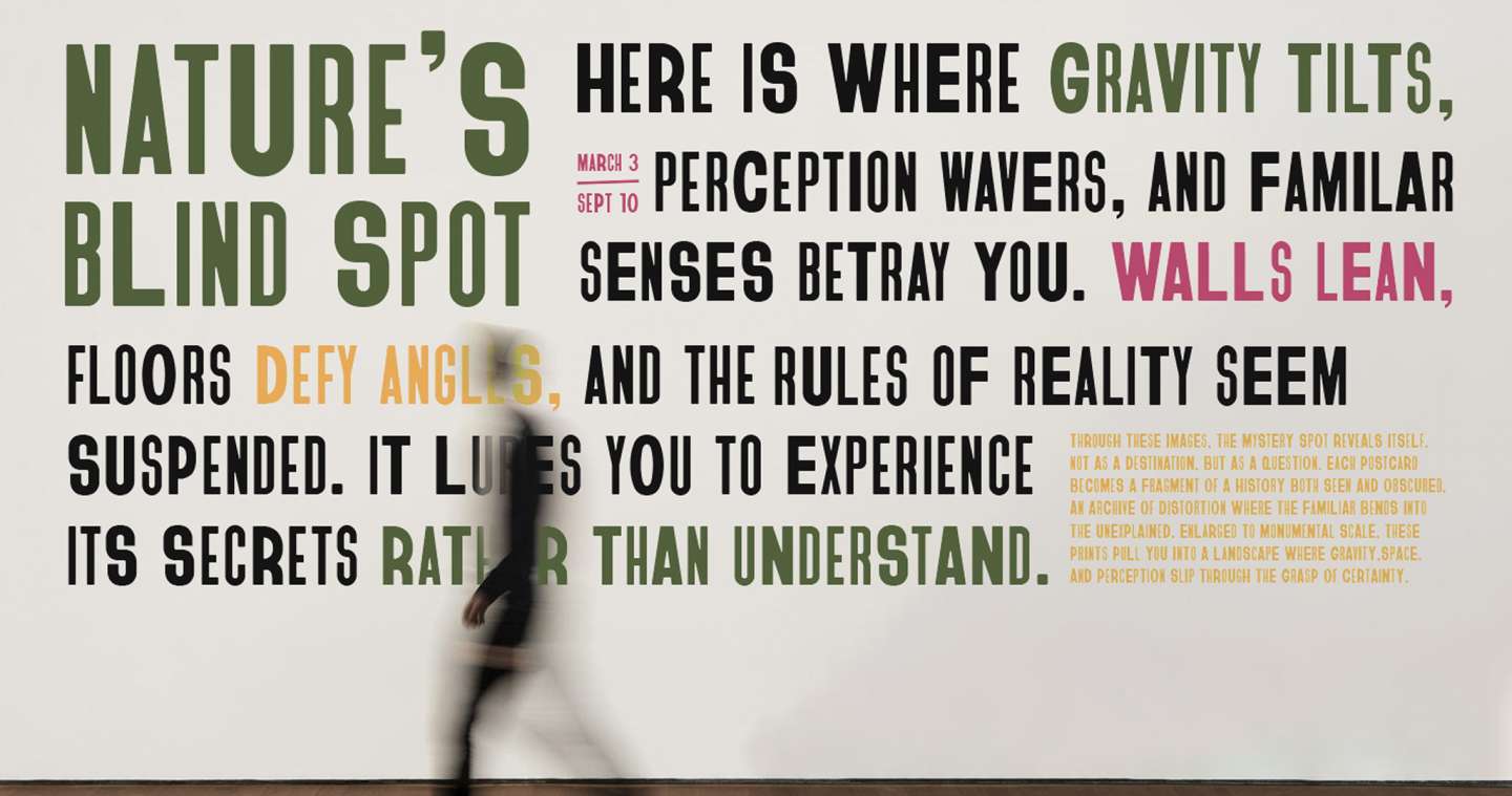 The Mystery Spot