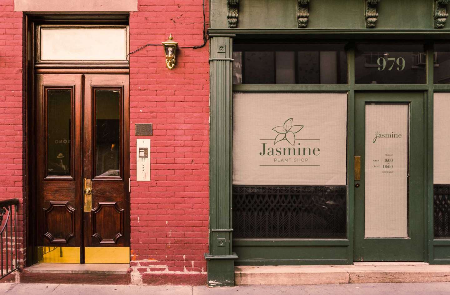 Jasmine Plant Shop