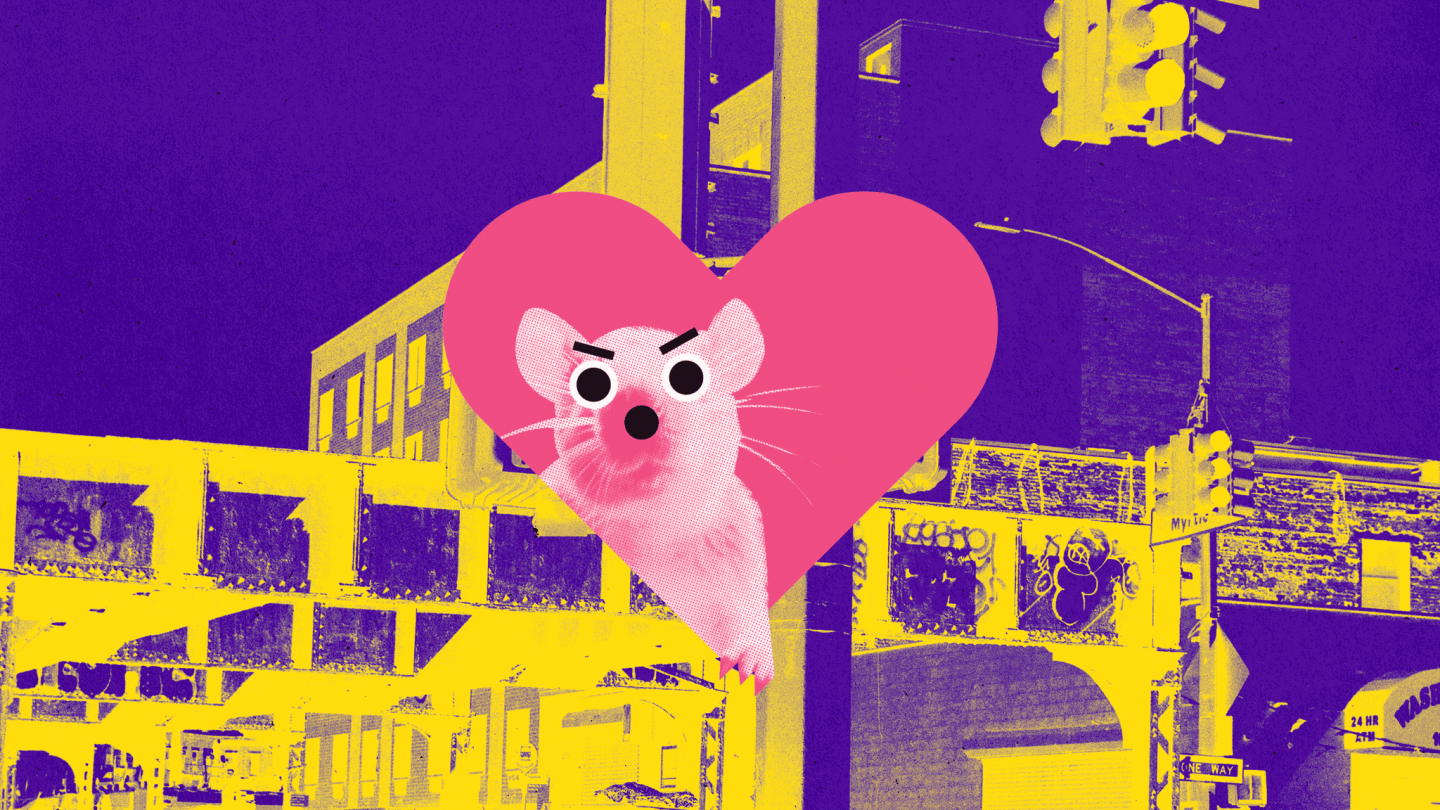Rats Are New Yorkers Too