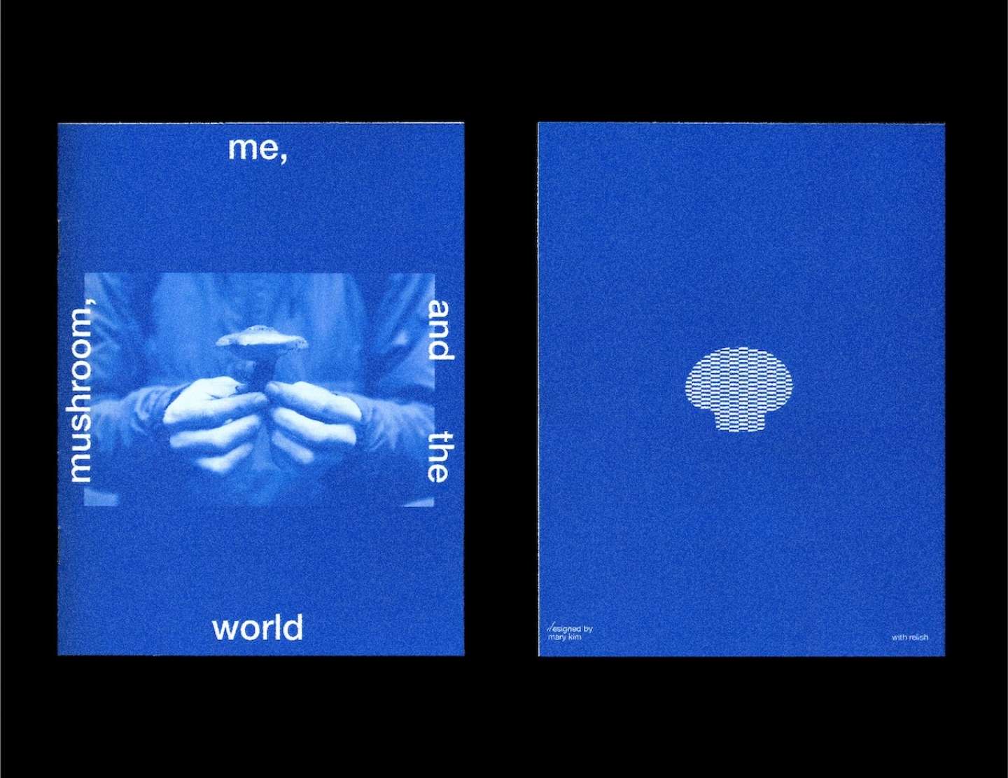 Me, Mushroom and the World