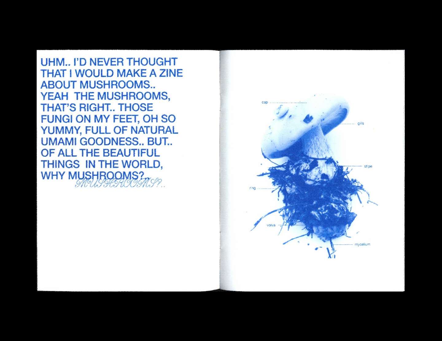 Me, Mushroom and the World