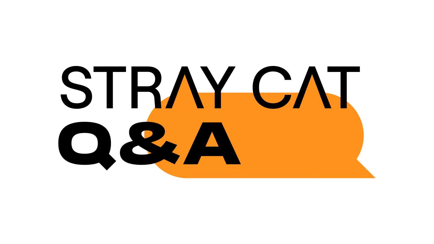 Stray Cat Q&A
