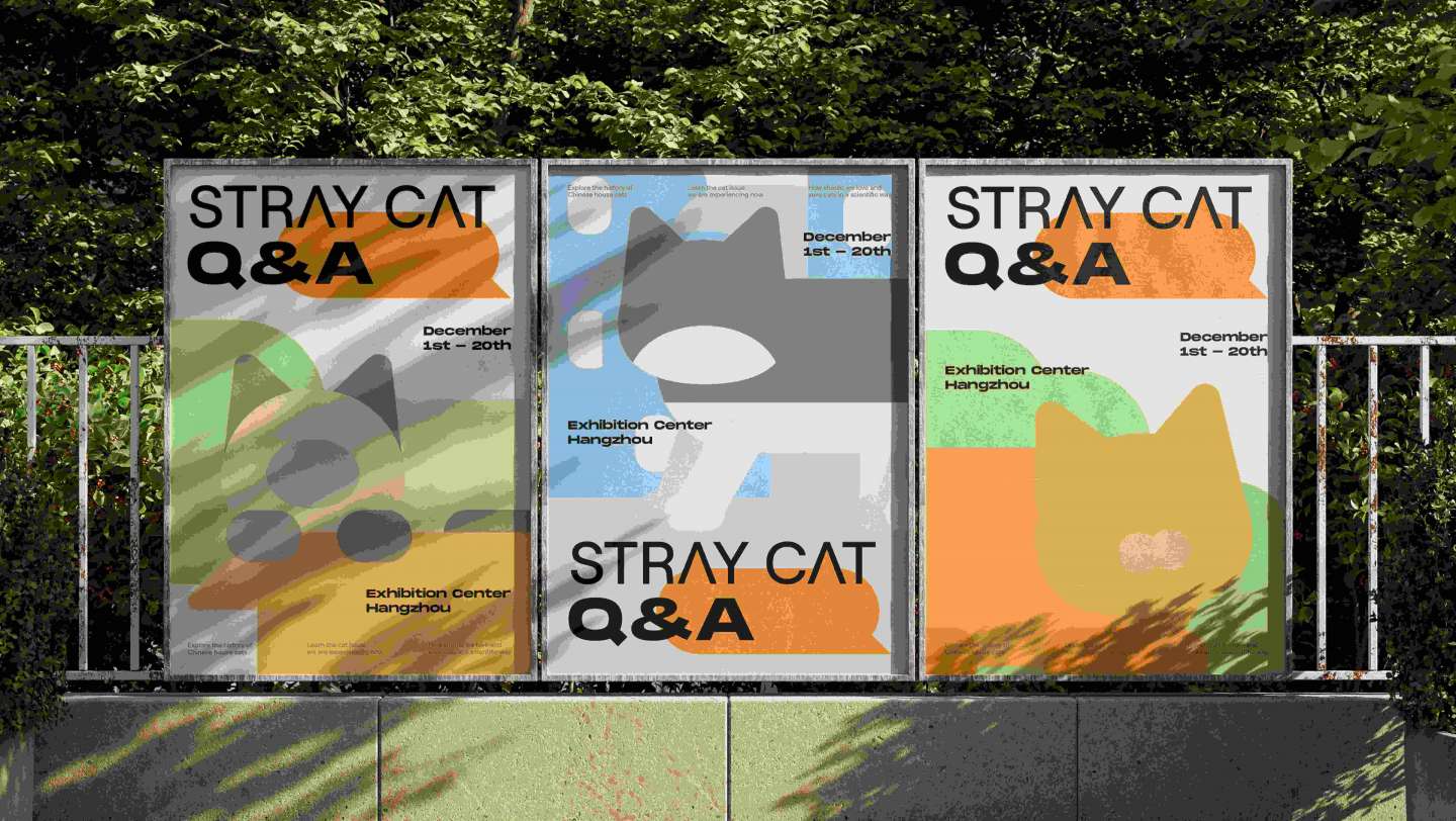 Stray Cat Q&A