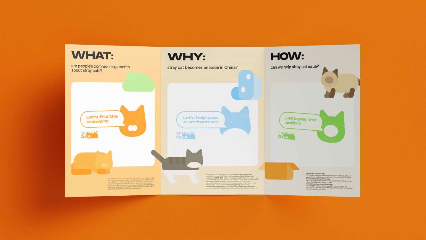 Stray Cat Q&A