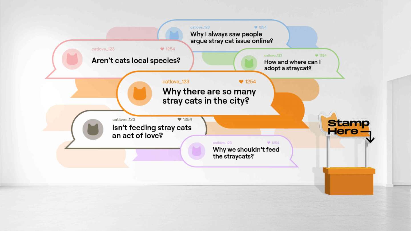 Stray Cat Q&A