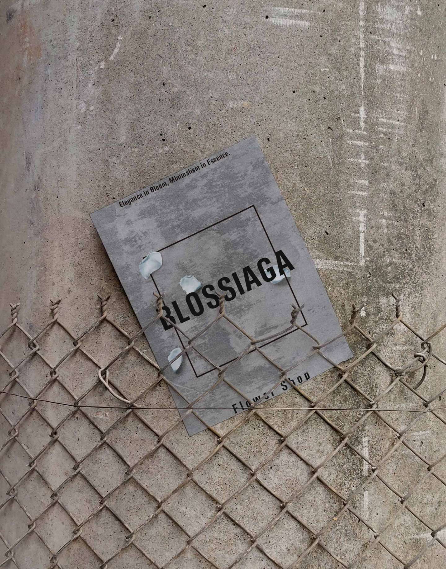 BLOSSIAGA