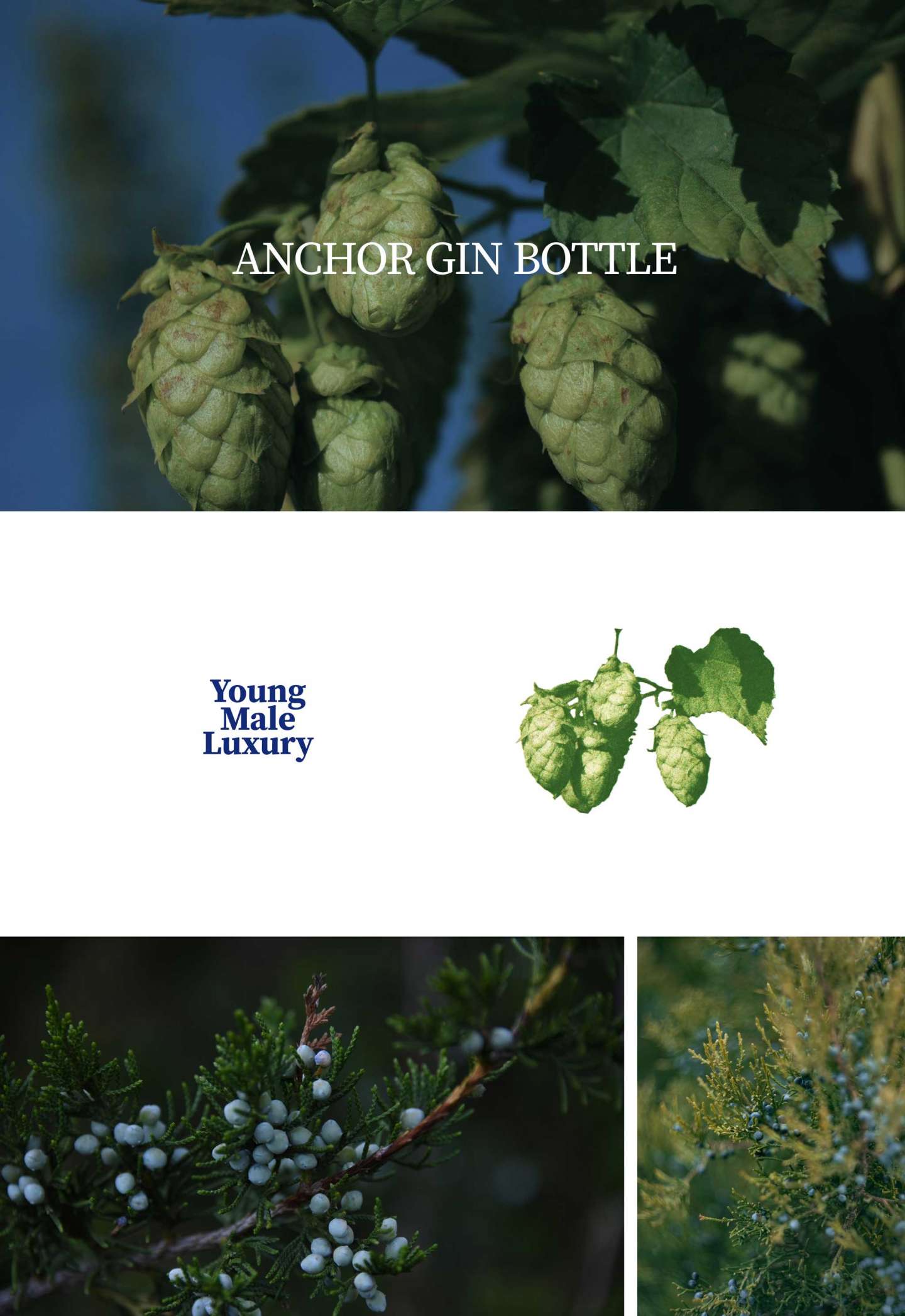ANCHOR GIN