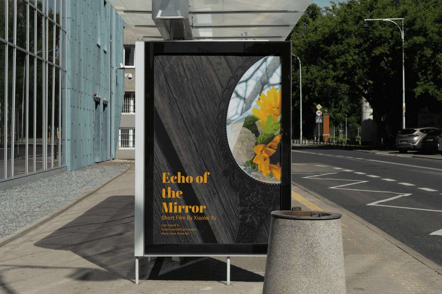 Echo of the mirror