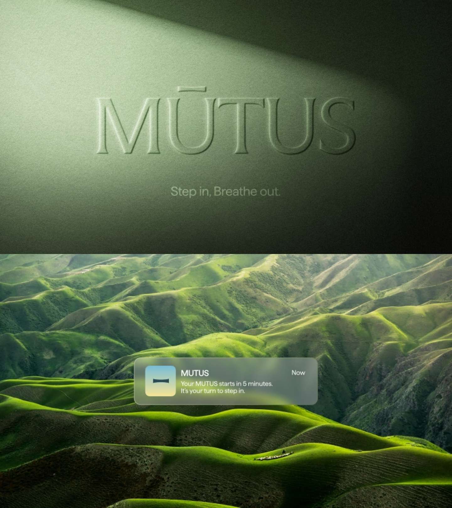 MUTUS
