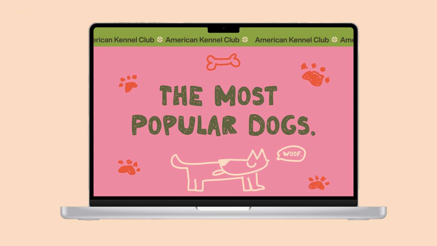 Dog Data