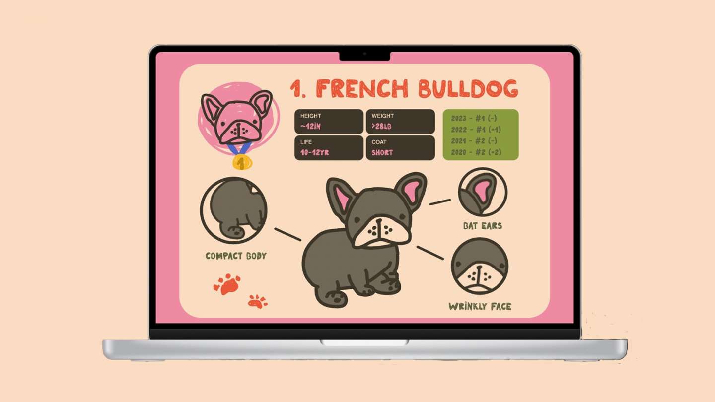 Dog Data