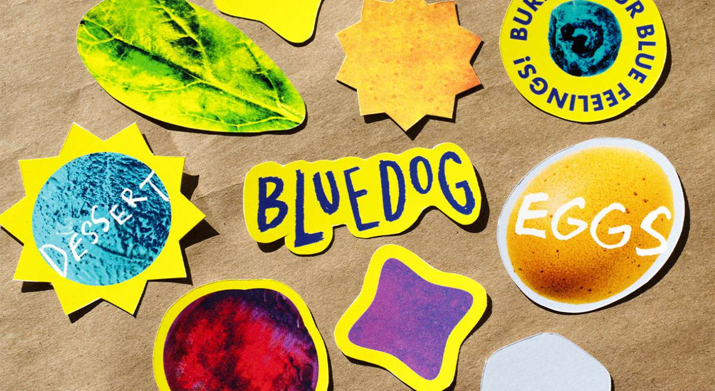 Blue Dog Rebrand