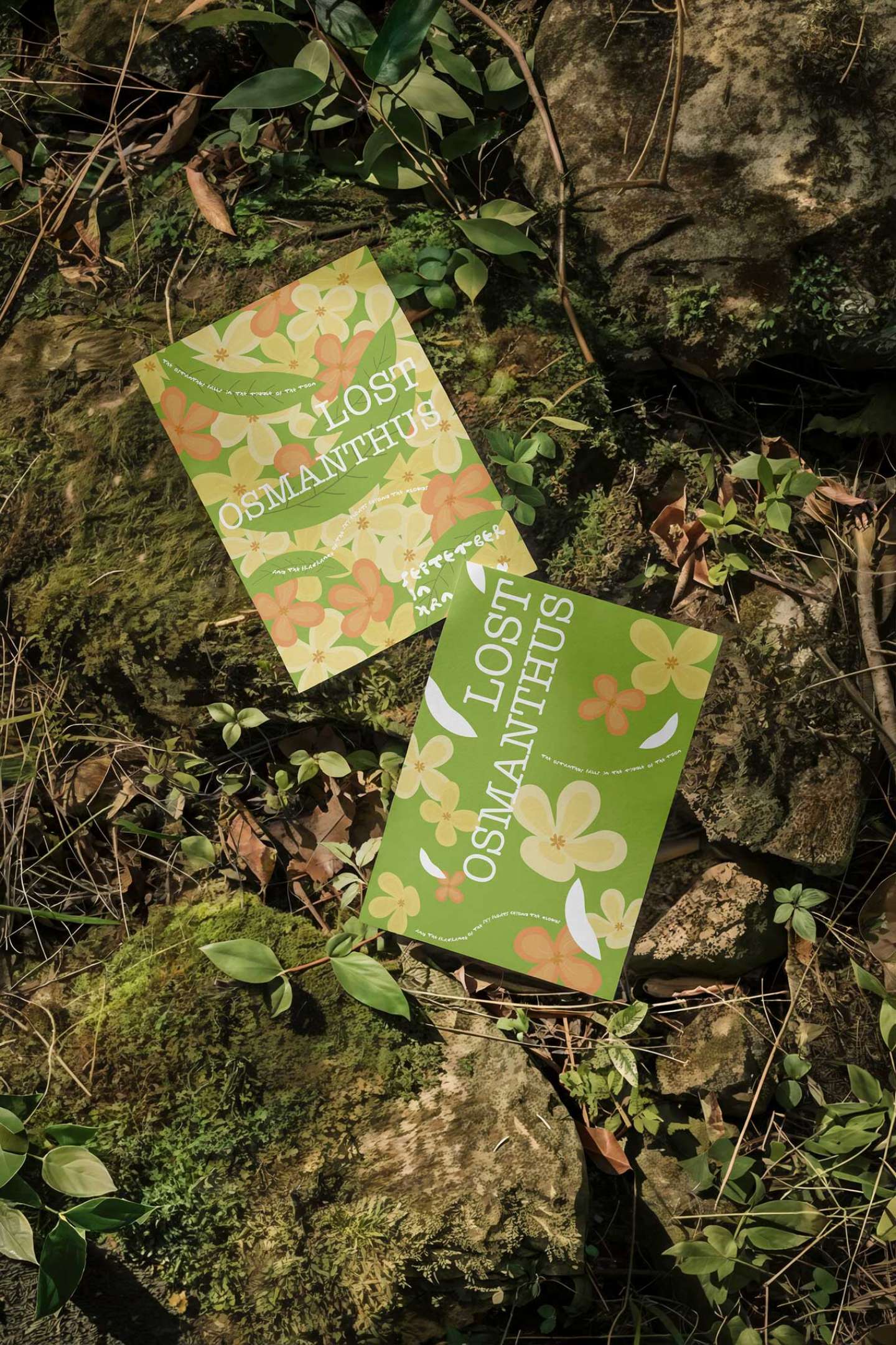 Lost Osmanthus