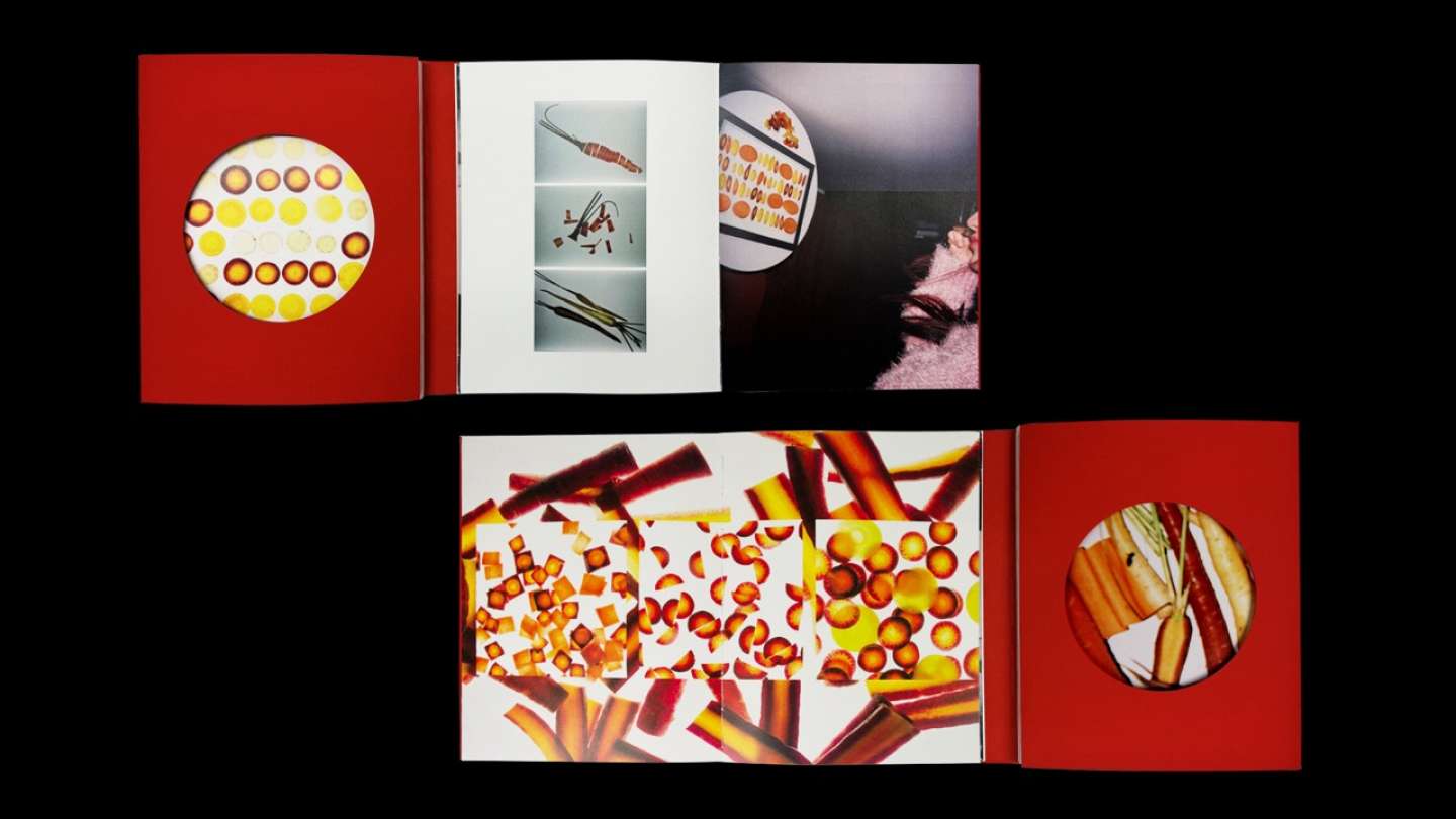 Carrot Book