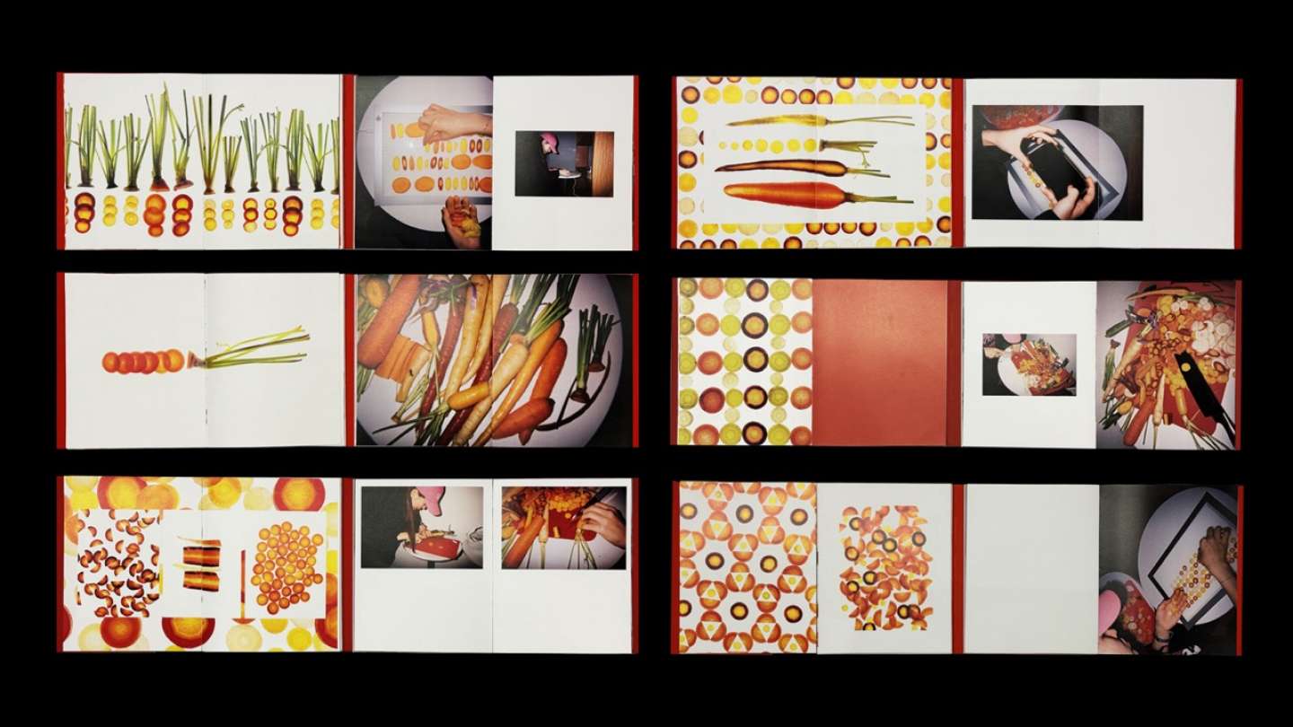 Carrot Book