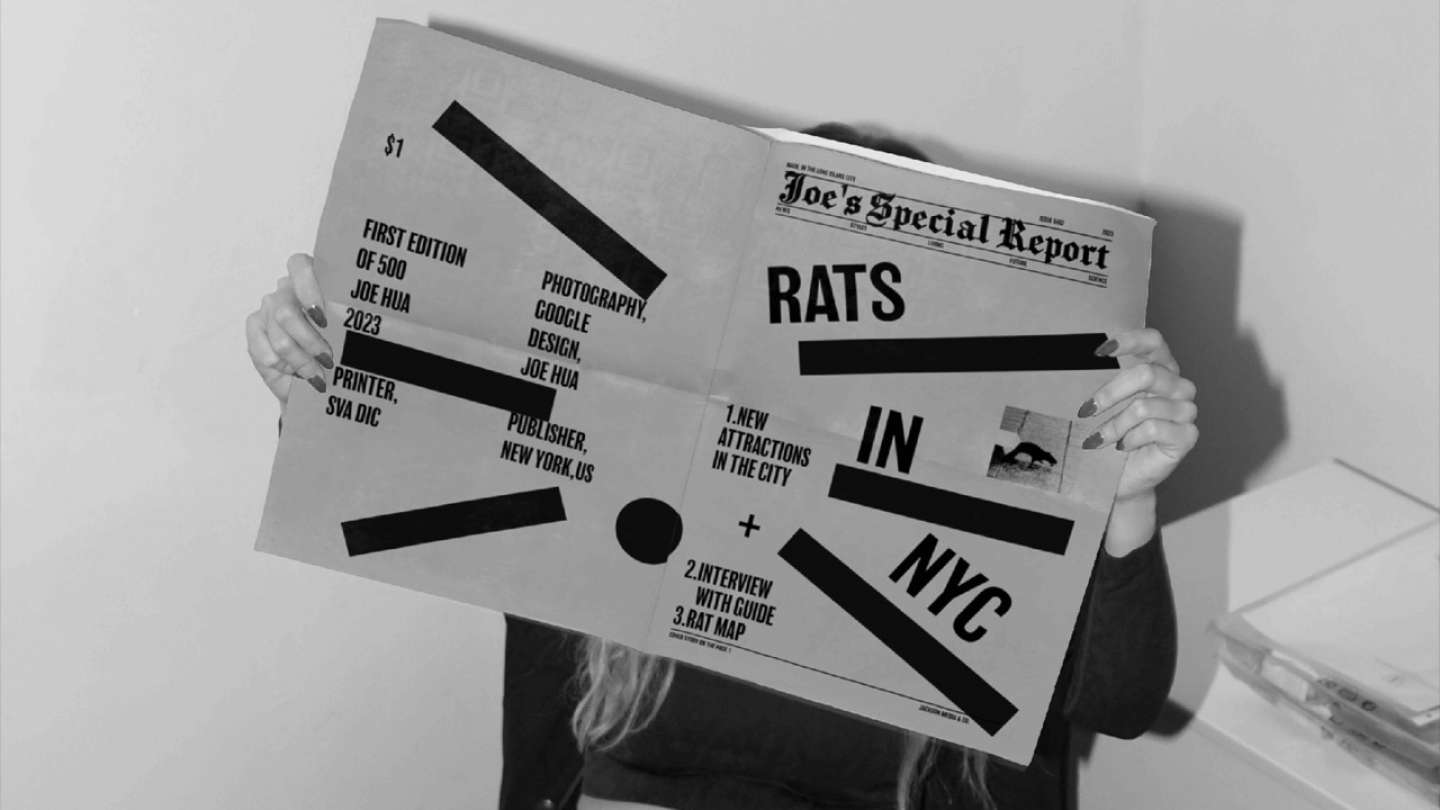 Rats In NYC
