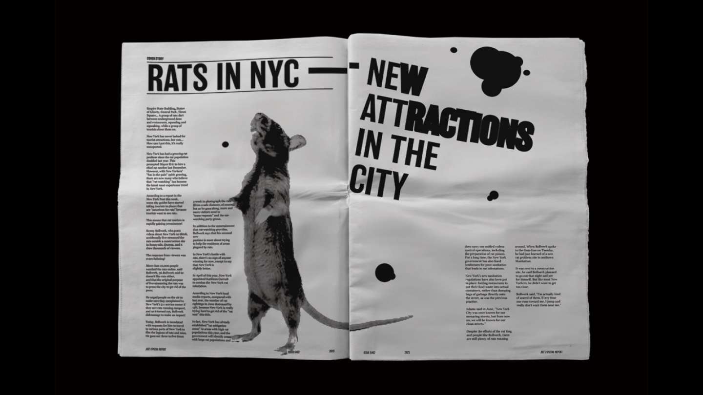 Rats In NYC