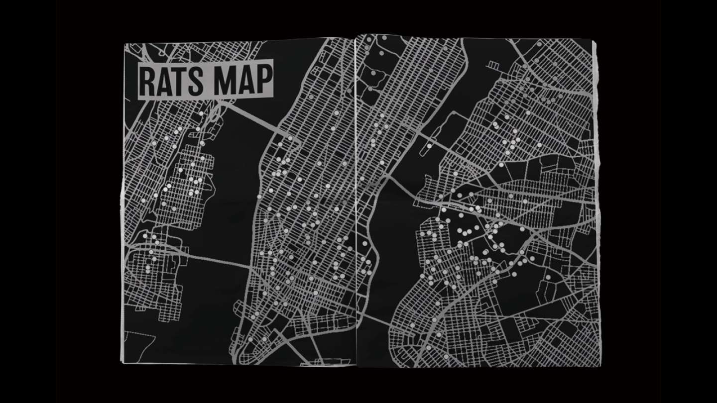 Rats In NYC