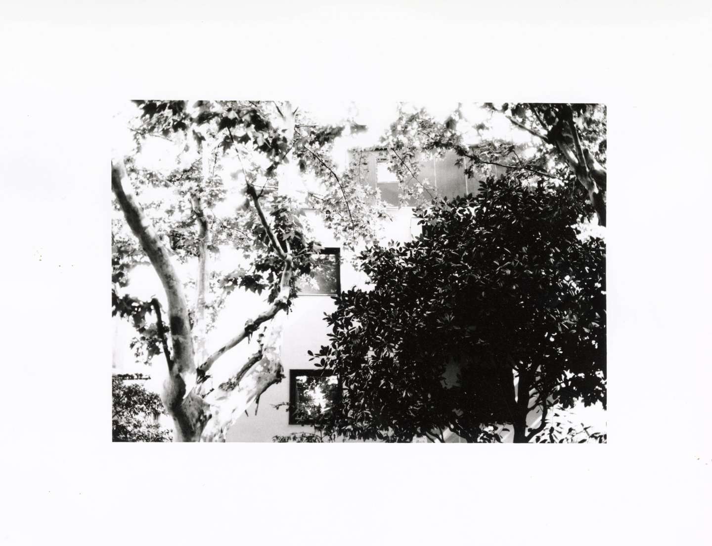 Reframed Still