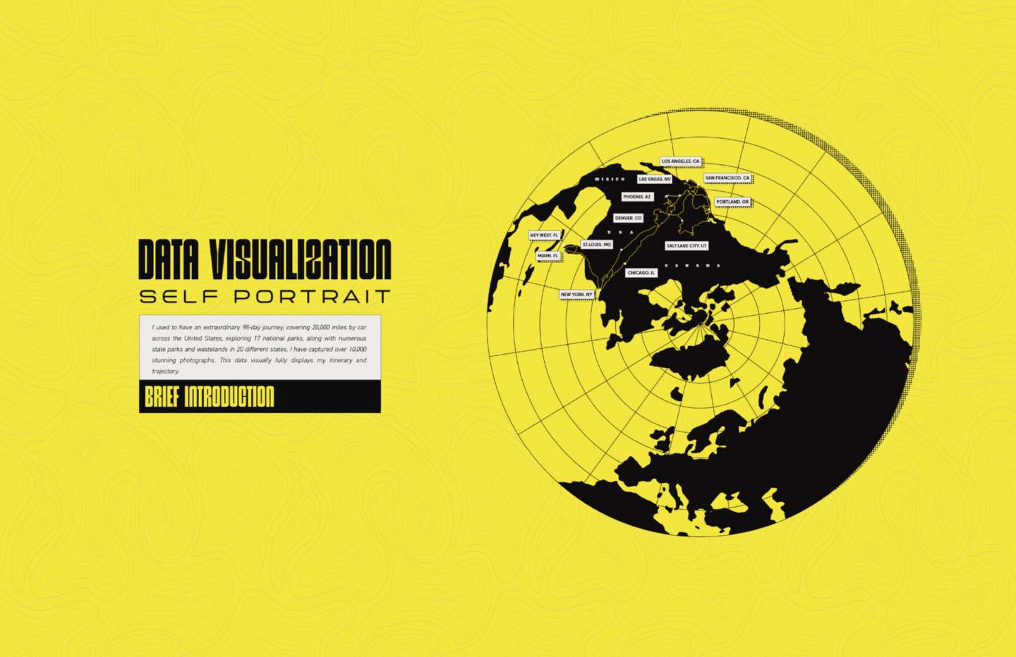 DATA VISUALIZATION：Self Portrait